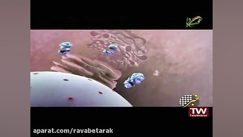 خبر شبکه3 - 15آذر - شیوع آنفولانزا کلینیک دندانپزشکی