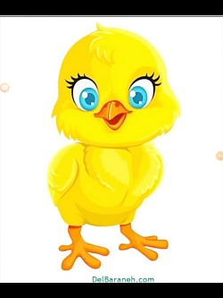 مدرسه قلقلک