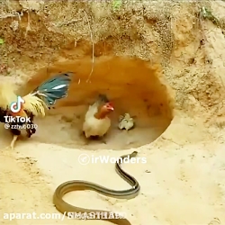 مادر