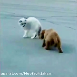 دوبله گیلکی رشتی می کون ور (پد...