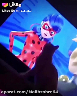 حتی گربه هاهم کفشدوزک و دوست د...