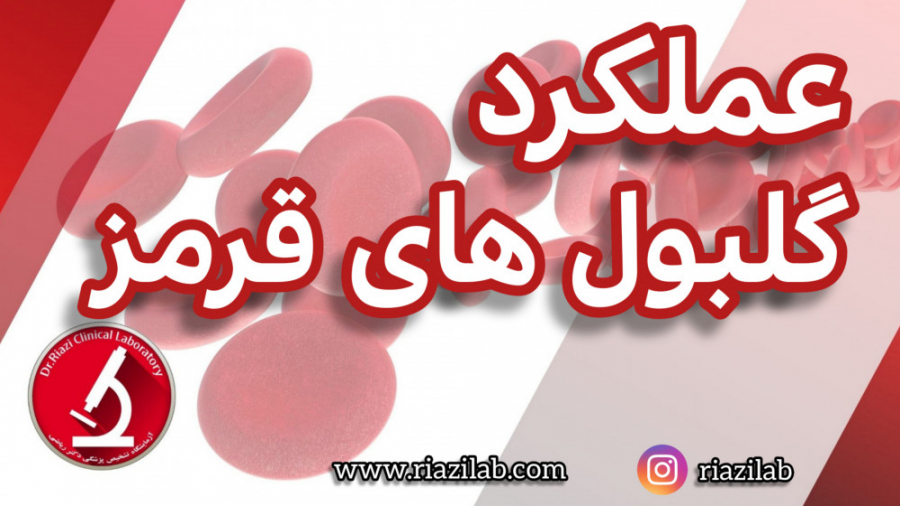 نحوه عملکرد گلبولهای قرمز / کم خونی / هموگلوبین/ آزمایشگاه دکتر ریاضی pO2
