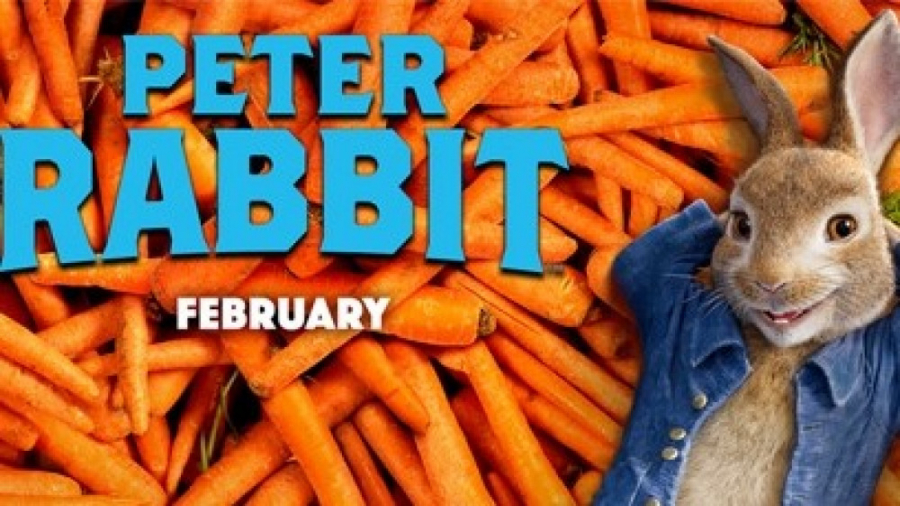 انیمیشن فانتزی و کمدی پیتر خرگوشه 1 دوبله فارسی Peter Rabbit 1 2018 زمان5654ثانیه