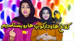طنز جدید سرنا - دارکوبا رو اعصاب ترن یا کلاغا - کلیپ خنده دار سرنا امینی