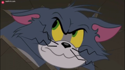 کارتون جدید تام و جری  موش و گ...