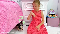 ناستیا استیسی  استیسی شو جدید...