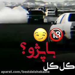 شوتی سوار  کل کل با پژو؟