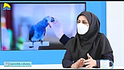 پزشک شما (درمان گزش)