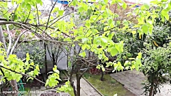 خرید ویلای دوبلکس در غازیان بندر انزلی