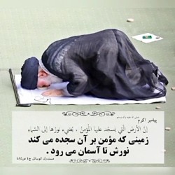 آموزش احکام _ ۲۴ / چند نکته درباره سجده نماز