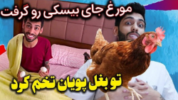 بیست و چهار ساعت زندگی با مورغ...