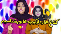 طنز سرنا امینی/استوری اای سرنا...