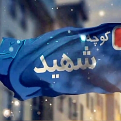 استوری #کوچه شهید #شهید محمد رضاشیخی# خواهران جهاد
