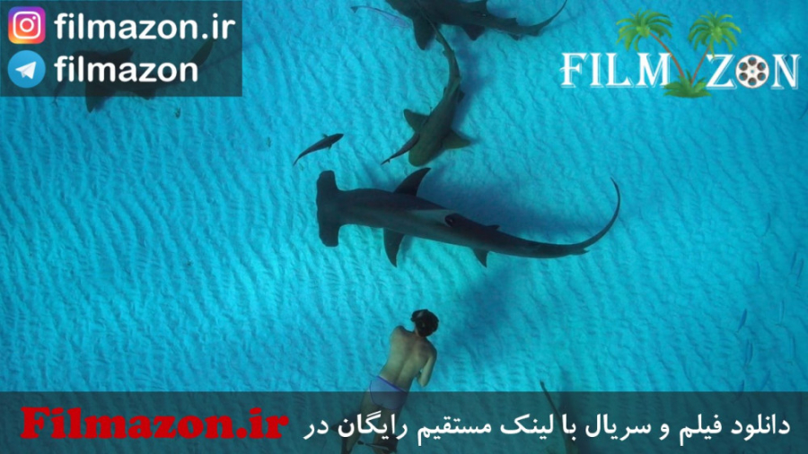 تریلر فیلم Sharkwater Extinction 2018 زمان139ثانیه