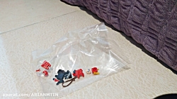 برسی دو لگو فلش و دختر گربه ای