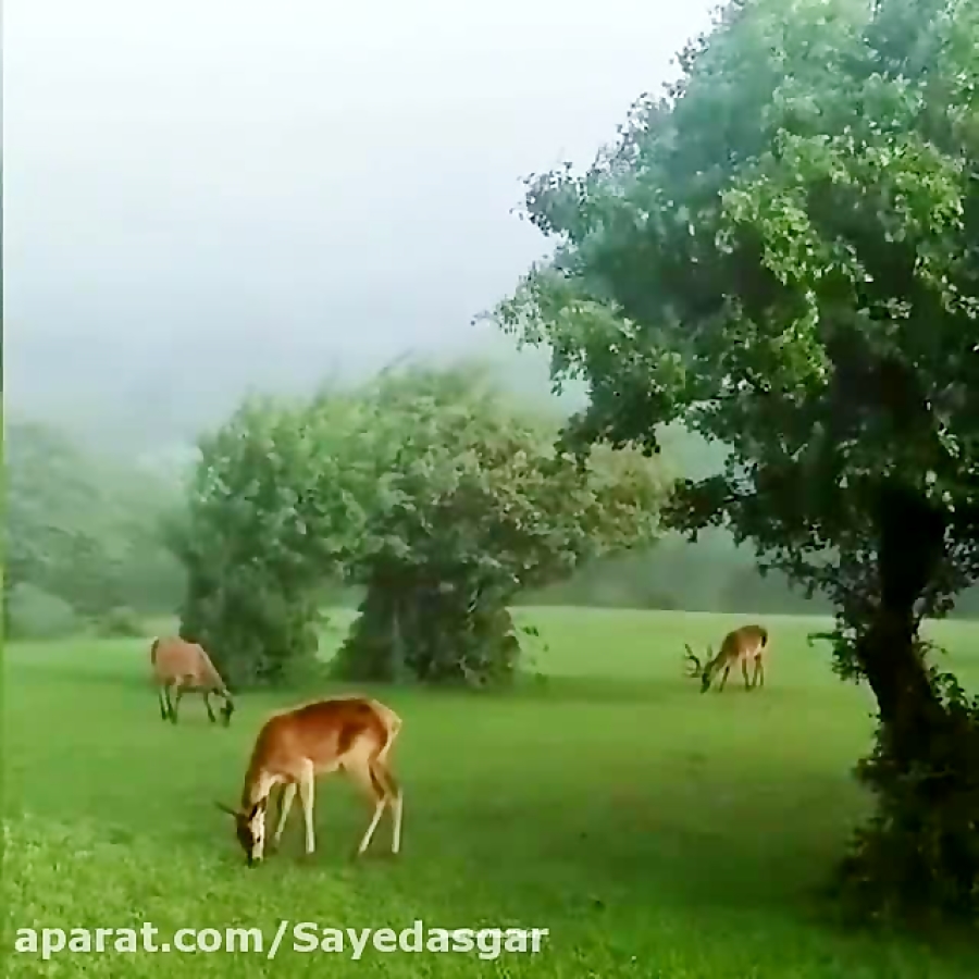 طبیعت زیبای ایران