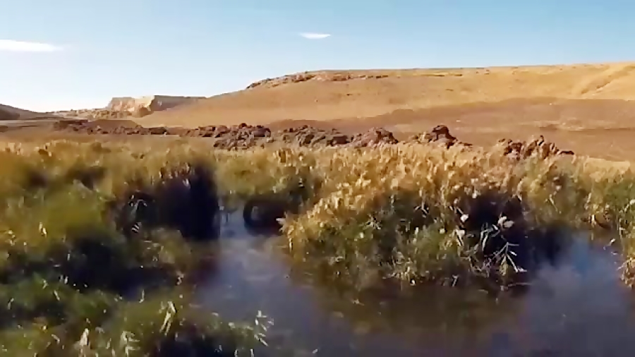 برنج کاری در زمین تشنه خوزستان