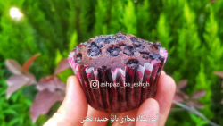 مافین دابل چاکلت