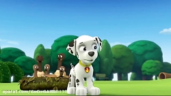 سلام دوستان امیدوارم حالتون خو...