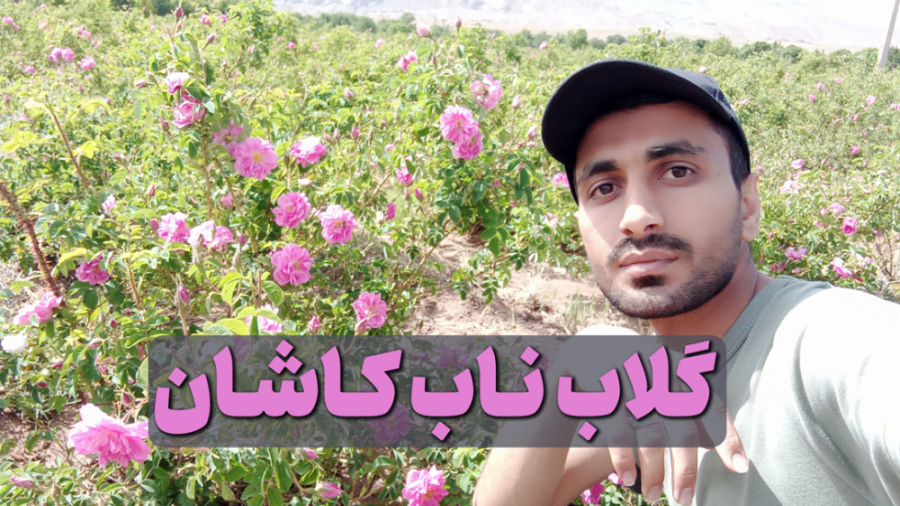 روش گرفتن گلاب با دیگ مسی...