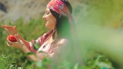 کلیپ لری احساسی  آهنگ لری عاشق...