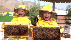 سرگرمی کودک دیانا و روما - دیا...