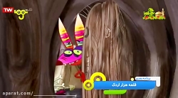 خروس زیرک - روباه کلک - خروس شاخ دار