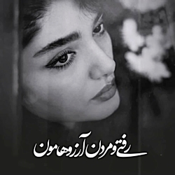 کسری زاهدی...رُز مشکی