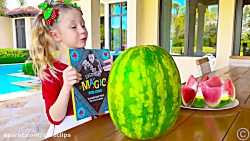 سرگرمی کودک و بانوان  استیسی ش...