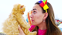 سرگرمی کودک و بانوان - برنامه...