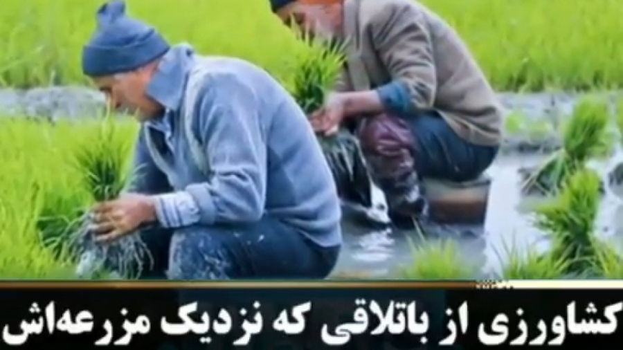 داستان زیبای مهربانی و انسانیت || کاشف واکسن پنی سیلین || خیلی قشنگه ببین جوانسازی پوست