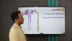 نمونه تدریس درس زیست کنکور (ساختار نفرون) توسط استاد جمال نیک نام