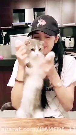 اوخی اگه پیشی دوستی مثل من دنب...