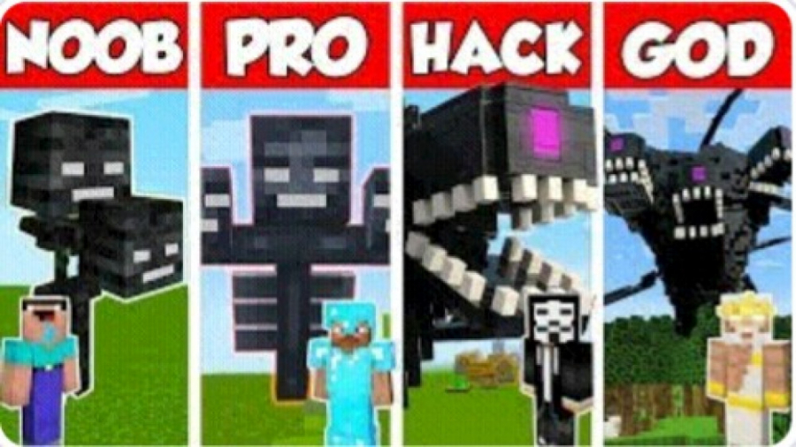 Noob Vs Pro Vs Hacker Vs God