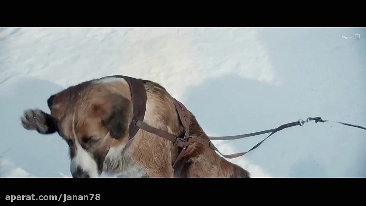 فیلم آوای وحش The Call of the Wild 2020 دوبله فارسی زمان5980ثانیه
