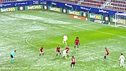 دیدنی ترین گل ها و مهارت های ک...