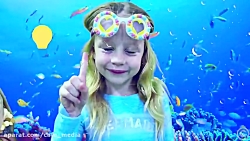 ناستیا استیسی  استیسی شو جدید...