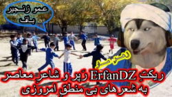 تفسیر شعرهای ایرانی با ErfanDZ