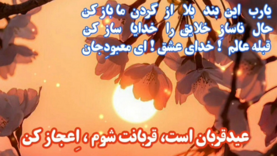 عید قربان زهرا علیزاده