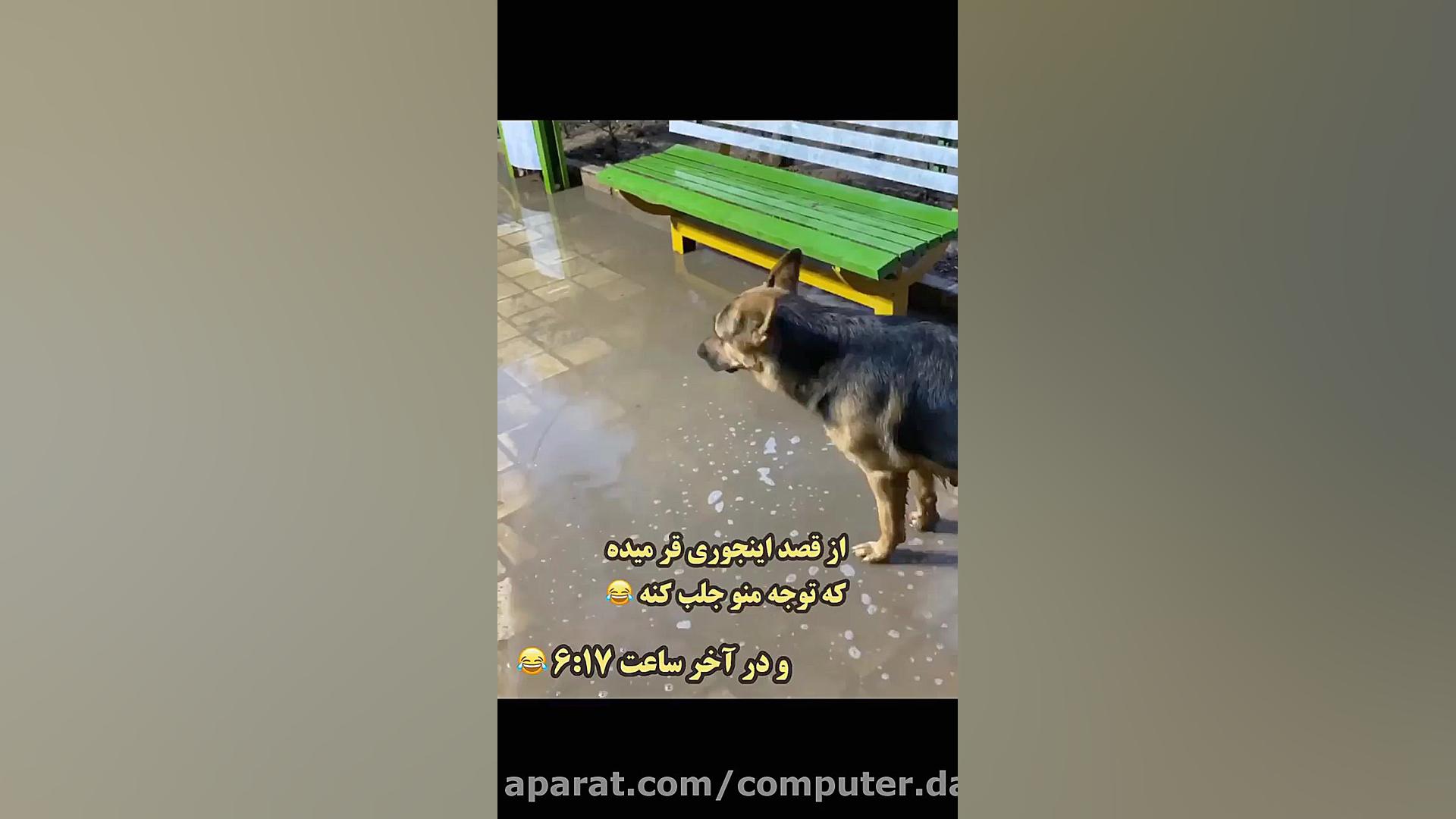 حس بویایی و بینایی تیدا ترند روز