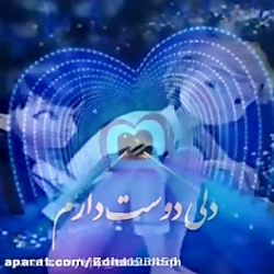 آهنگ آشقانه برای مرینت و آدرین...