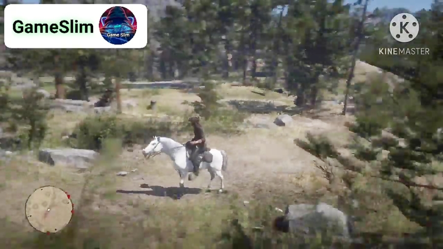 مکان اسب عربی چهارم