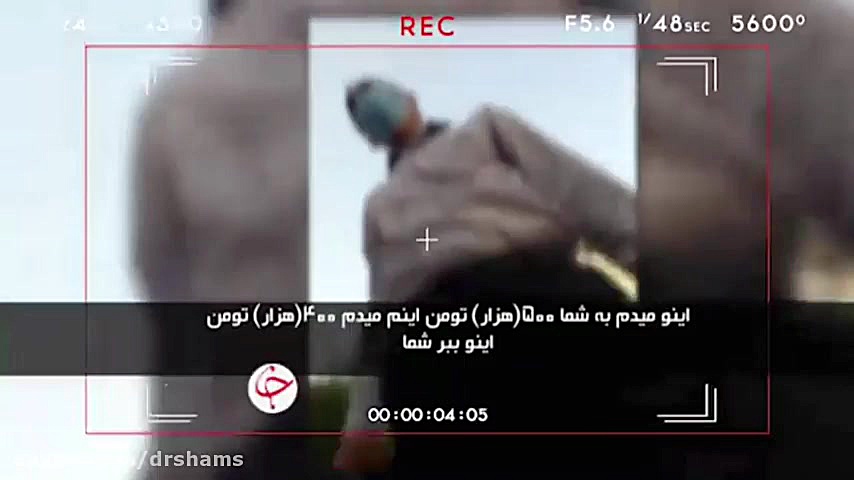 قرص قاتل...! دکتر شیرین شمس جراح و متخصص زنان و زایمان