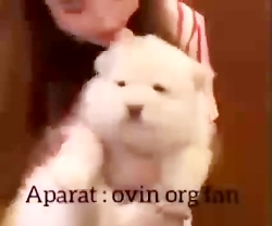 چالش نیکا فلاحی با سگ جدیدش