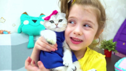 ایوا »» چالش رنگها و گربه ها