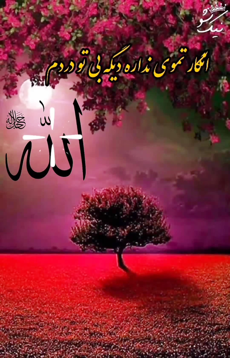 عشق خدا