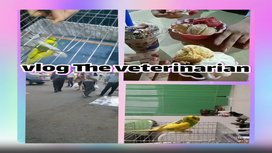 ولاگ رفتن به دامپزشکی با من/vlog The veterinarian جراحی پف زیر چشم