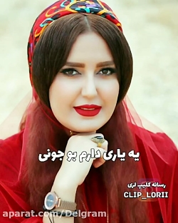 آهنگ زیبای لری بختیاری _ آهنگ محلی لری _ آهنگ شاد لری بختیاری