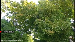 ترانه زیبای " نور "...