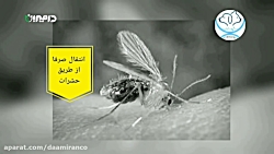 بیماری تب سه روزه گاو Bovine e...